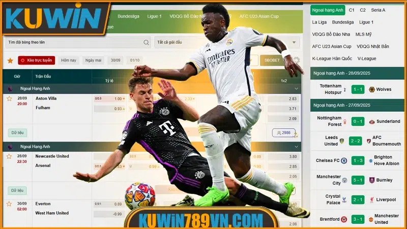 Cá Cược Bóng Đá